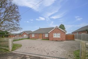 THE CONIFERS- click for photo gallery